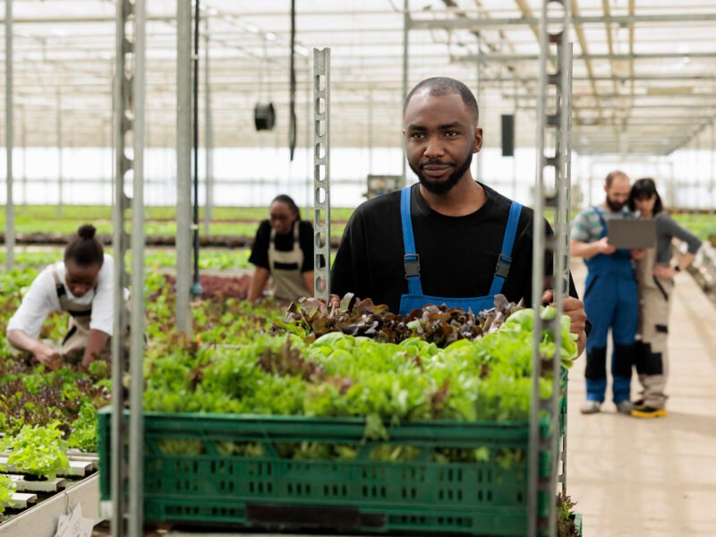 Farm Worker Jobs in Australia with Free Visa Sponsorship